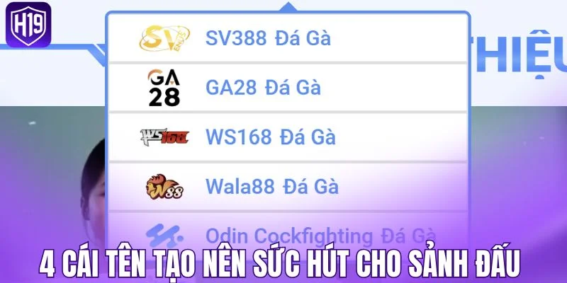 4 cái tên tạo nên sức hút cho sảnh đấu 
