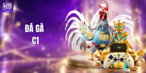 Đá Gà C1 Là Gì? Xem Trực Tiếp Và Luật Chơi Mới 2026