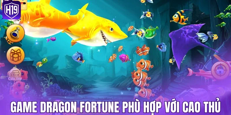 Game Dragon Fortune phù hợp với cao thủ