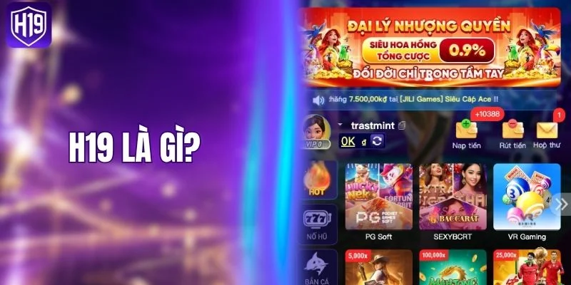 H19 Là Gì? Tìm Hiểu Điểm Đến Cá Cược Cho Tân Binh