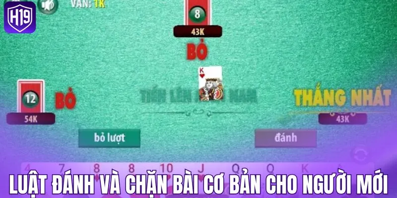 Luật đánh và chặn bài cơ bản cho người mới