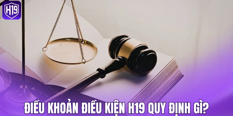 Những điểm chính được quy định trong điều khoản