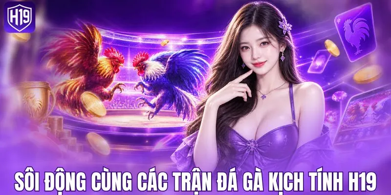 Sôi động cùng các trận đá gà kịch tính H19