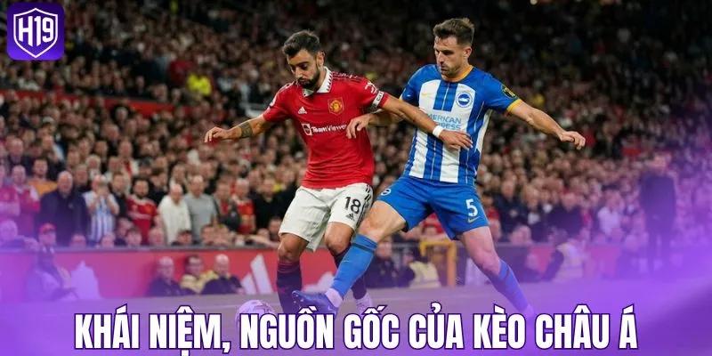 Tìm hiểu khái niệm, nguồn gốc và vai trò của kèo châu Á