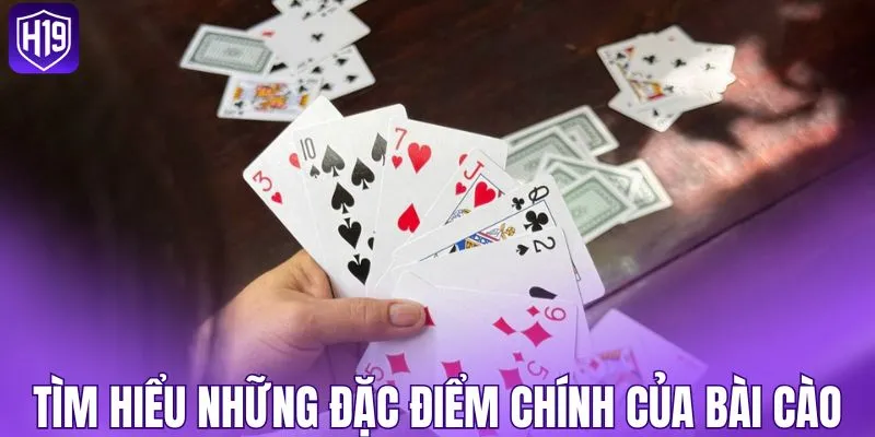 Tìm hiểu những đặc điểm chính của bài cào